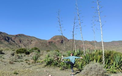 ¡Nos vamos a Los Genoveses!